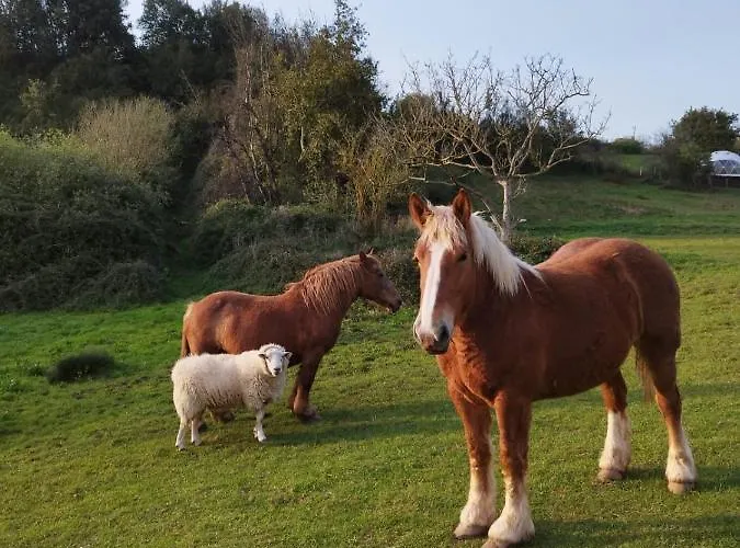 Loft Estacion Quintana خيخون