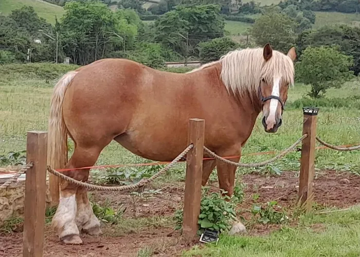 Loft Estacion Quintana شقة خيخون