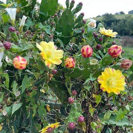 Loft Estacion Quintana Апартаменты Хихон