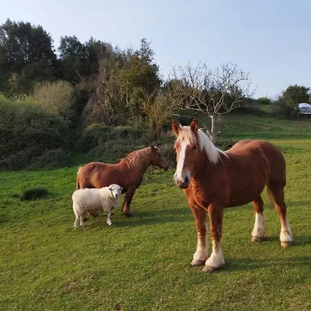 Loft Estacion Quintana Хихон