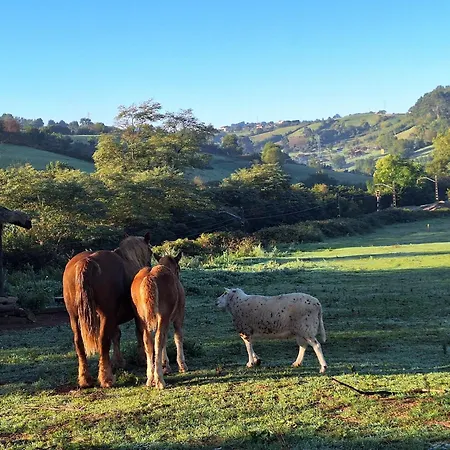 Loft Estacion Quintana * Хихон