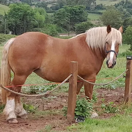 Loft Estacion Quintana Апартаменты Хихон