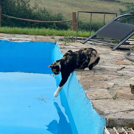 Loft Estacion Quintana Апартаменты *