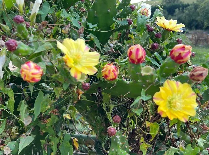 Loft Estacion Quintana Lejlighed Gijón