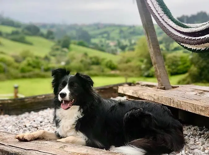 Lejlighed Loft Estacion Quintana Gijón