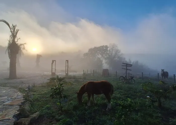 Loft Estacion Quintana