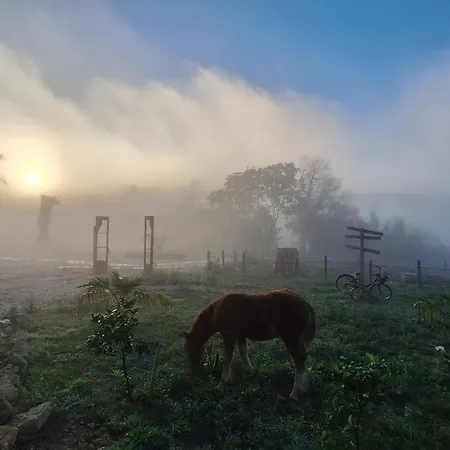 Loft Estacion Quintana