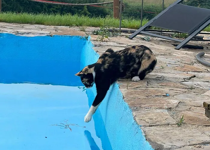 Loft Estacion Quintana 公寓 *